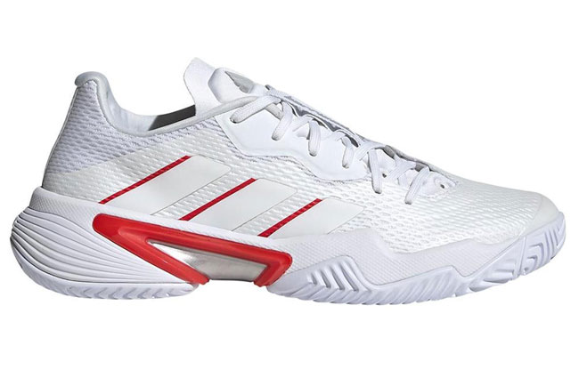 /userfiles/image/giay-danh-tenis2.jpg